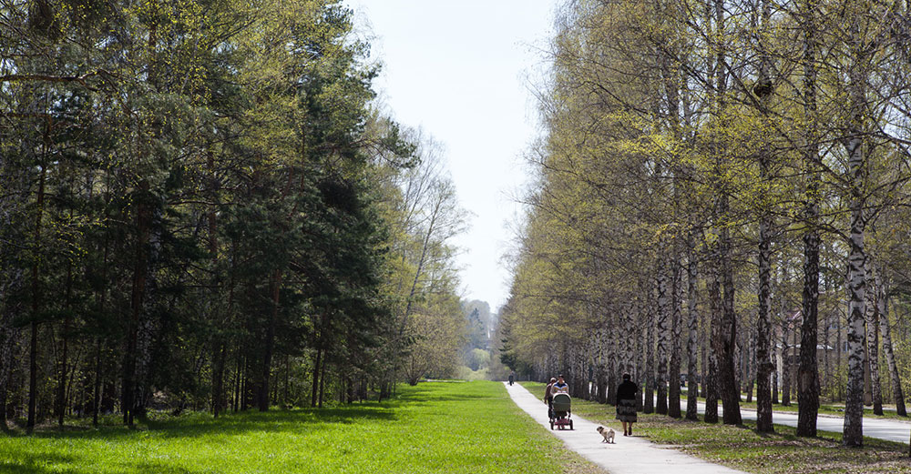 Akademgorodok