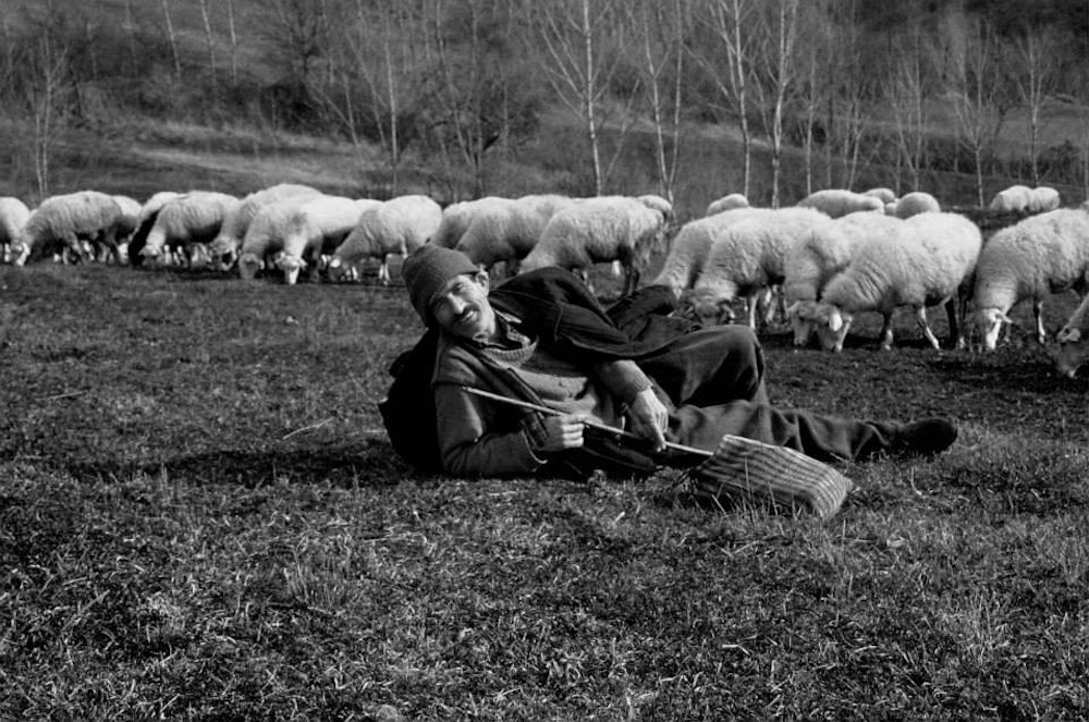 A shepherd near Strandja Mountain on the border of Turkey and Bulgaria. Photo: Nedret Benzet 