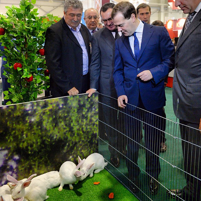 Dmitry Medvedev