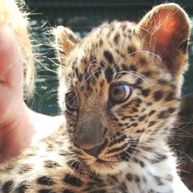 Moscow Zoo