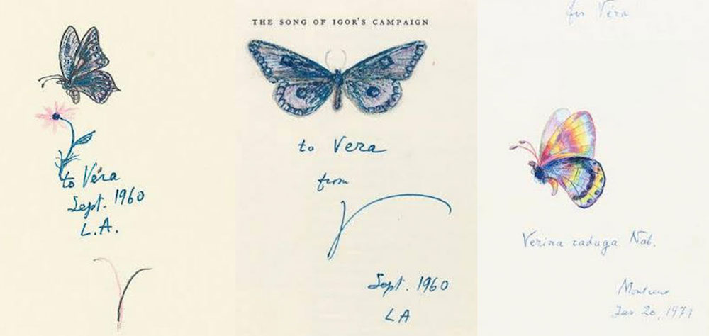 A collection of butterfly sketches by Vladimir Nabokov dedicated to his wife Vera. Image: Vladimir Nabokov / Facebook