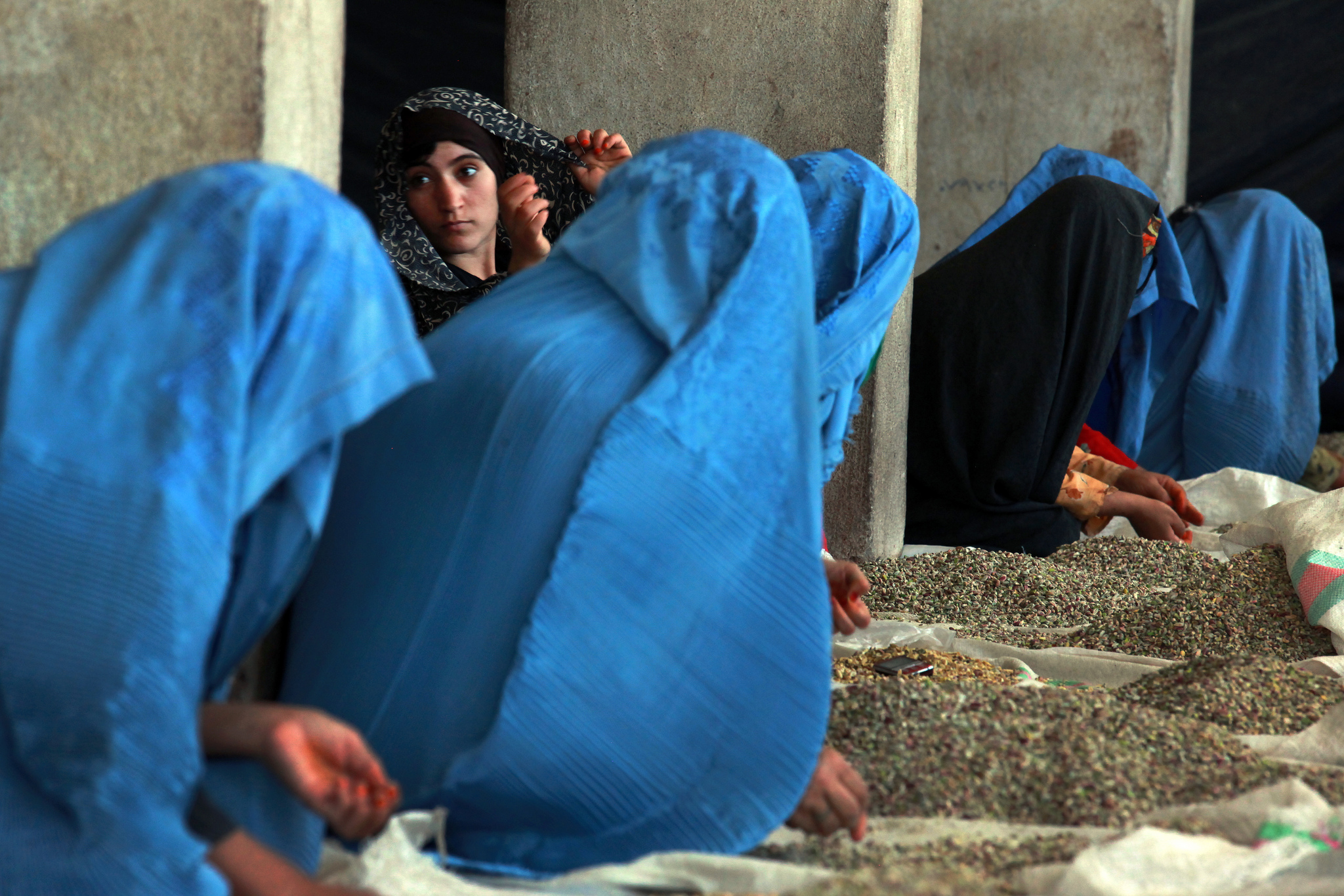 Women sort pistachios at a factory in Herat. Image: United Nations Photo under a CC License