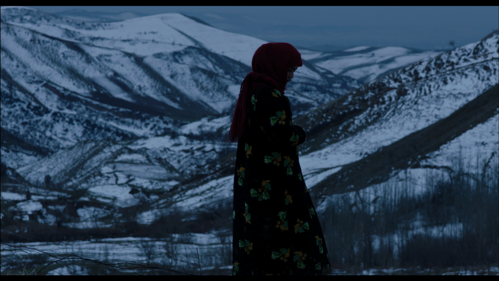 40 Days of Silence