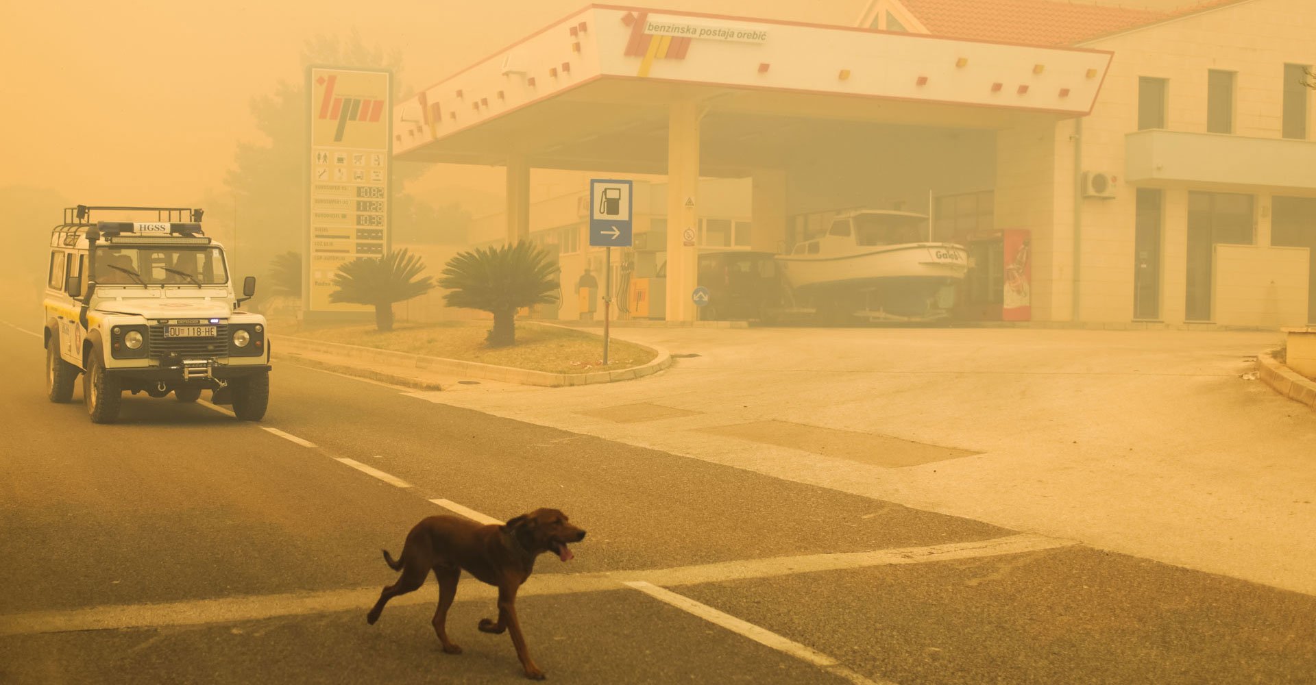 A forest fire in Croatia turns the coastline into a post-apocalyptic vision  