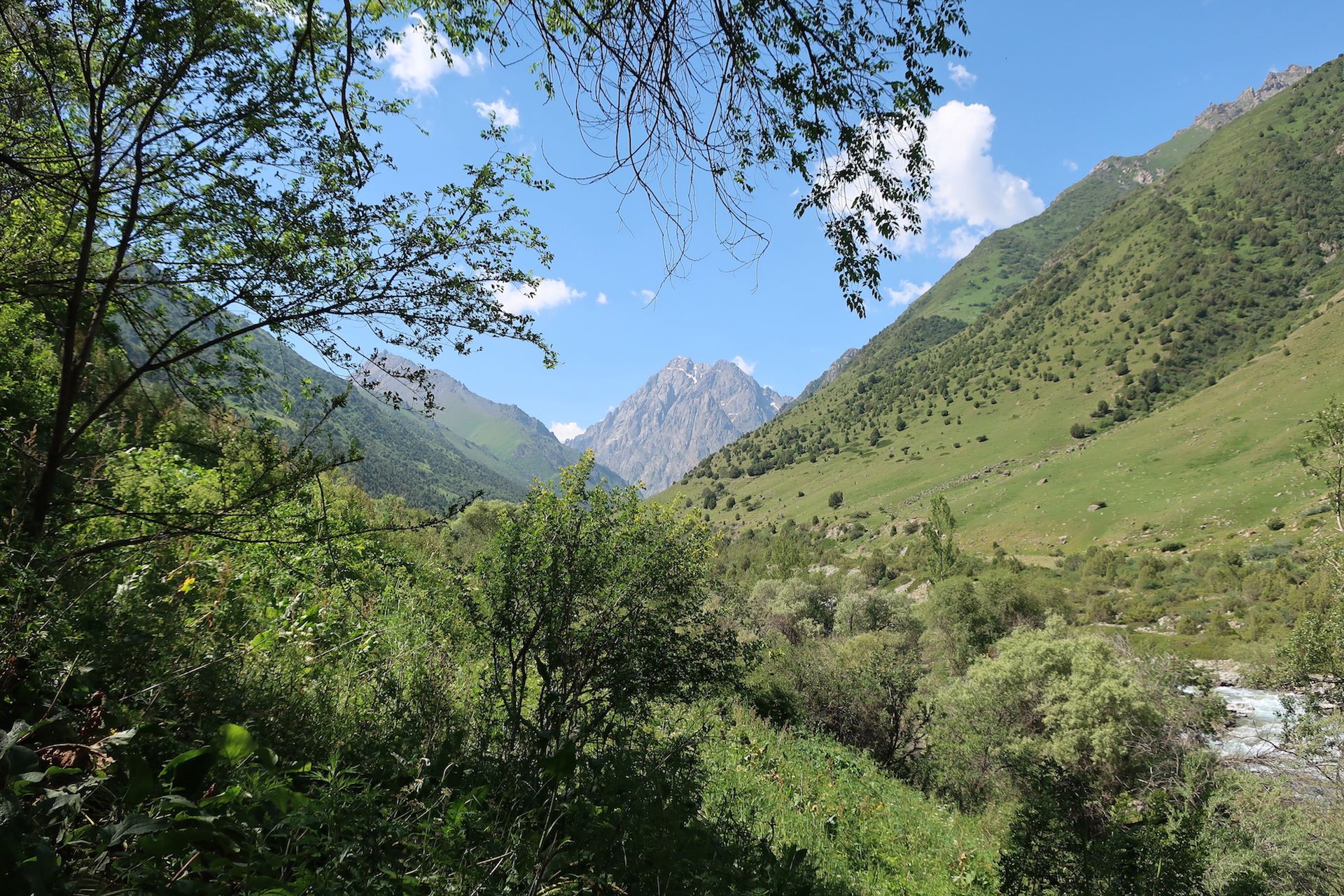 Letter from a kok boru match in Kyrgyzstan: where an ancient sport meets modern times