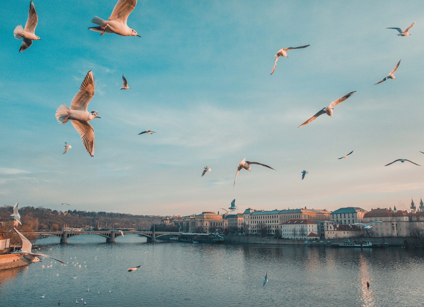 Dynamic, reflective, provocative: 6 poems to discover contemporary Czech poetry
