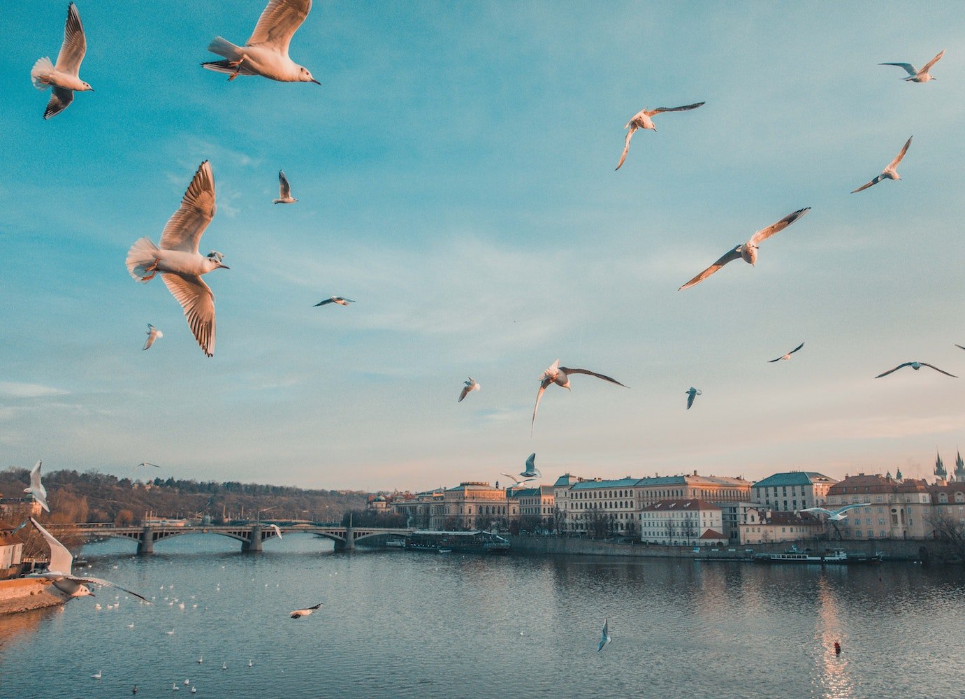 Watch Prague’s medieval Charles Bridge being built step-by-step 