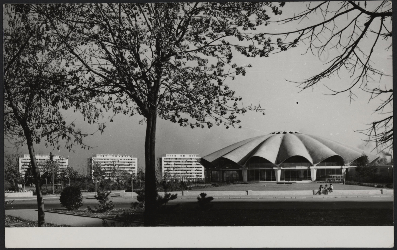 The State Circus in Bucharest, 1961-70