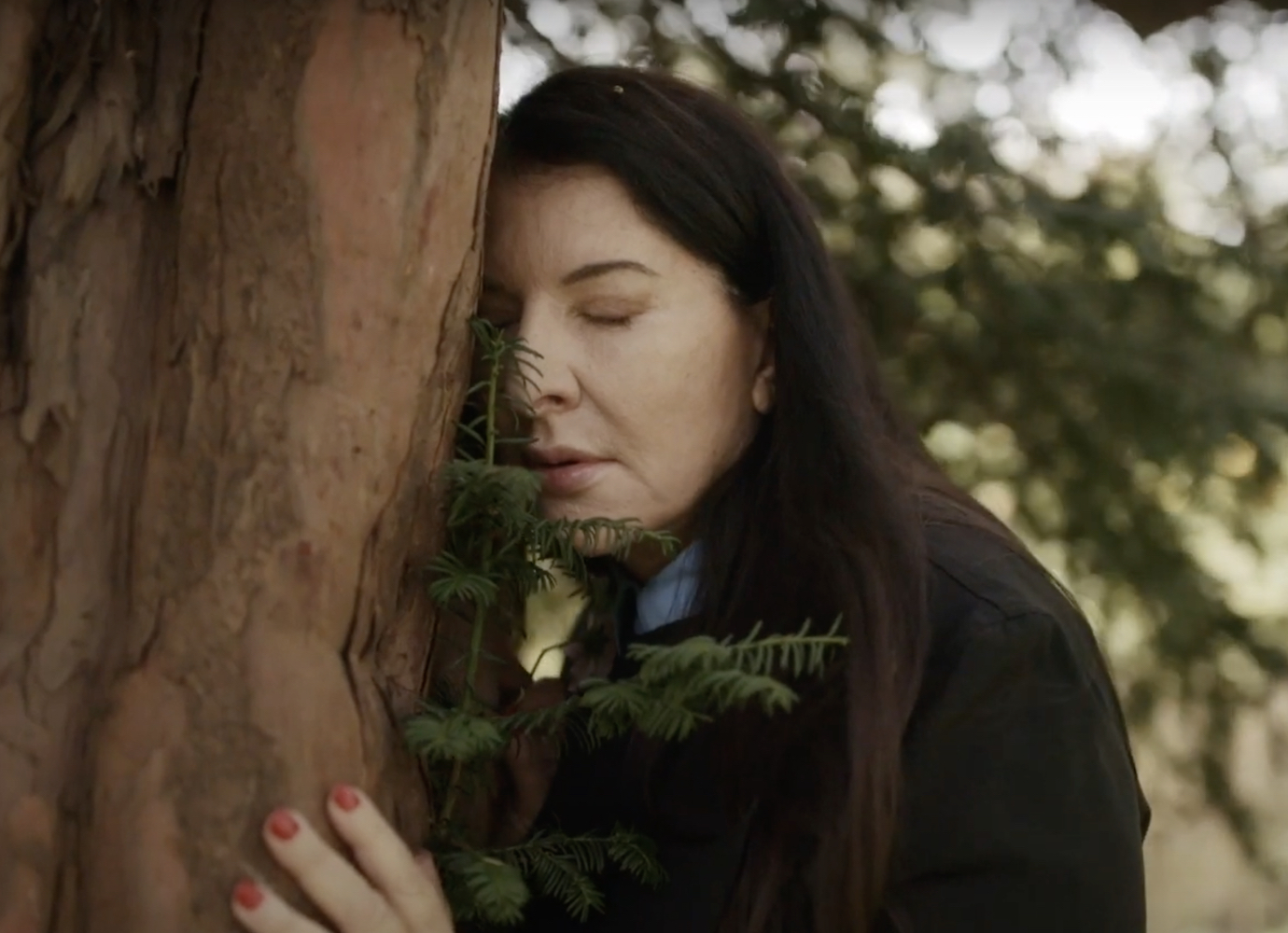 Marina Abramovic wants you to share your 2020 problems with a tree