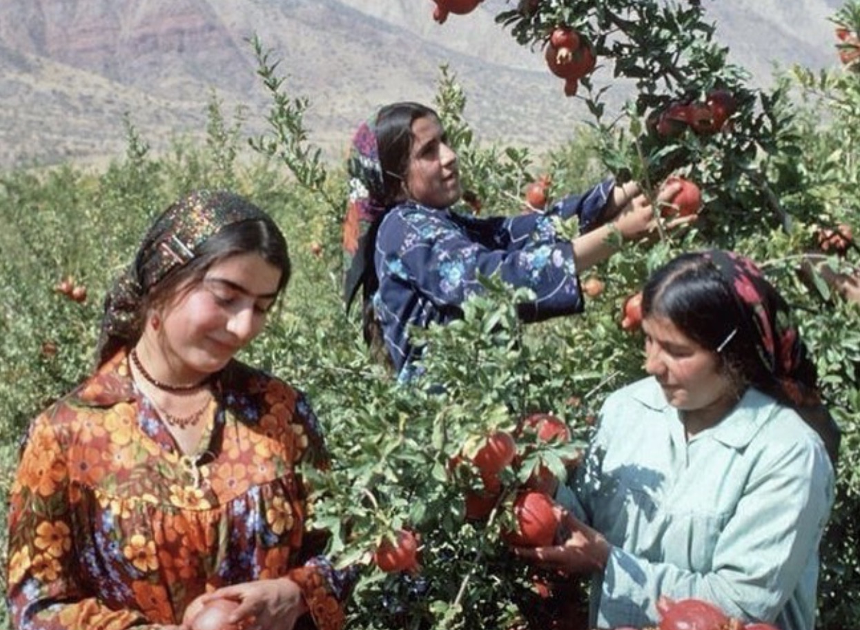 Travel to Soviet-era Tajikistan with the archive celebrating women