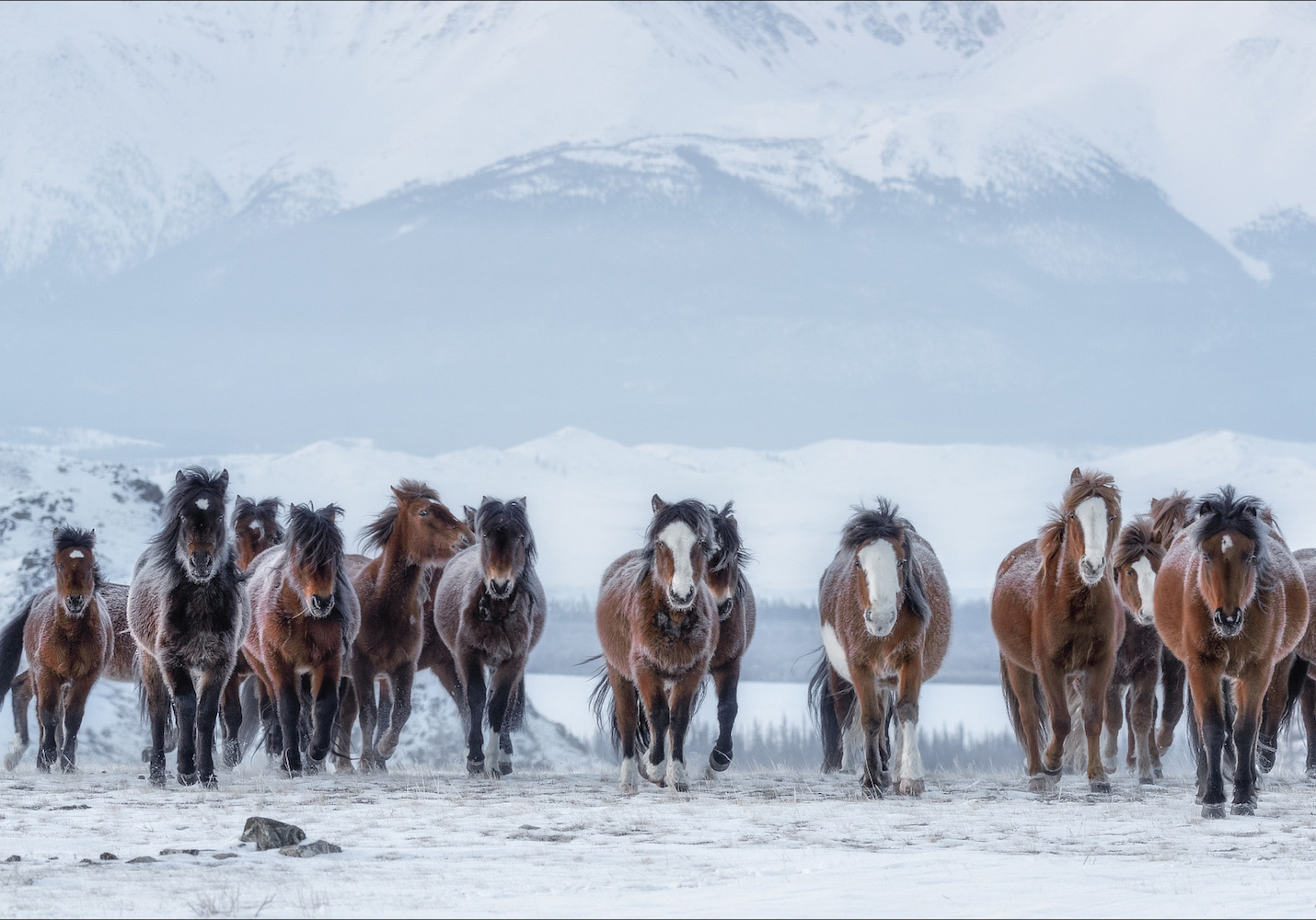 Russian photographer wins Travel Photographer of the Year 2020 top prize