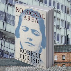 ‘No-Signal Area’: a piercing novel on the villains and victims of capitalism