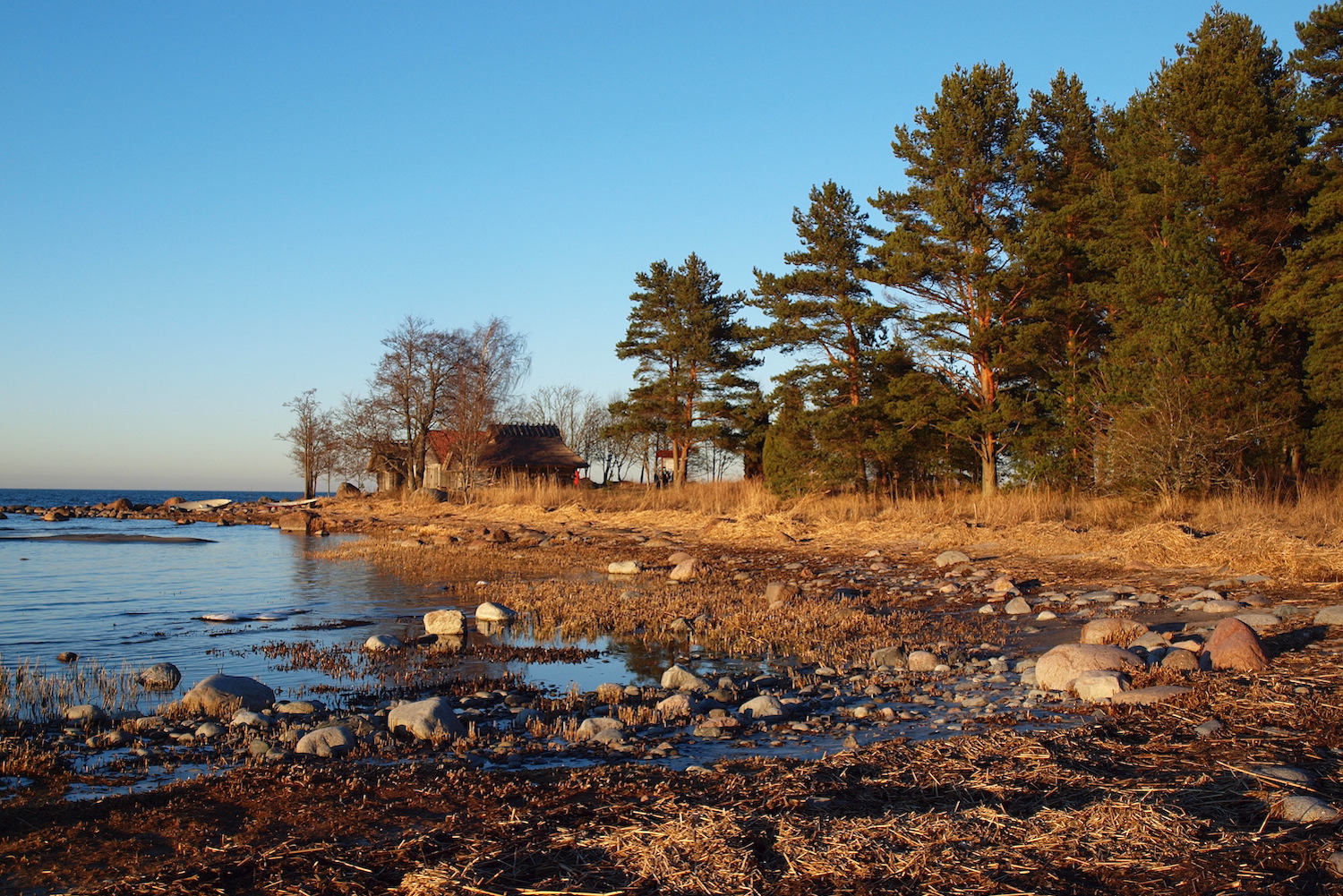 The village of Altja, in northern Estonia. Image: Anita under a CC license
