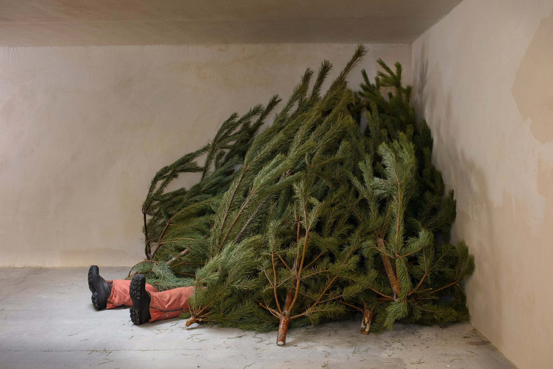 Prozac: Self-Portrait with Christmas Trees. "In his parents’ basement, he lies buried under a pile of Christmas trees that were briefly admired but then thrown away, no longer wanted. This is how the new year begins for them"