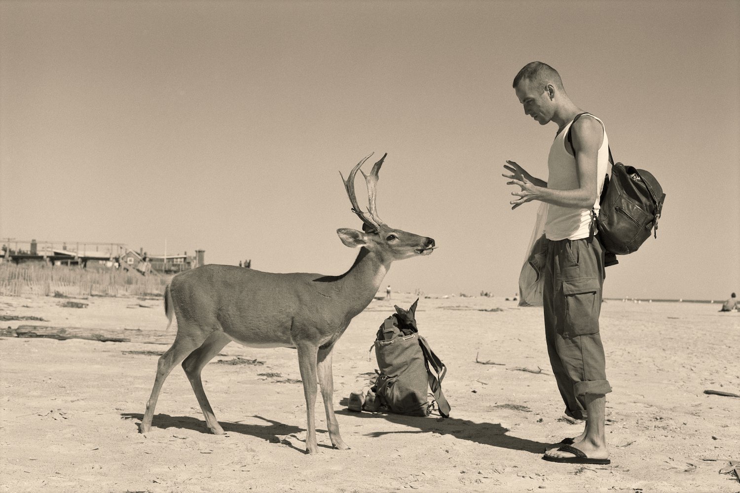 Image: Wolfgang Tillmans, Deer Hirsch. Courtesy of Galerie Buchholz, Berlin/Cologne