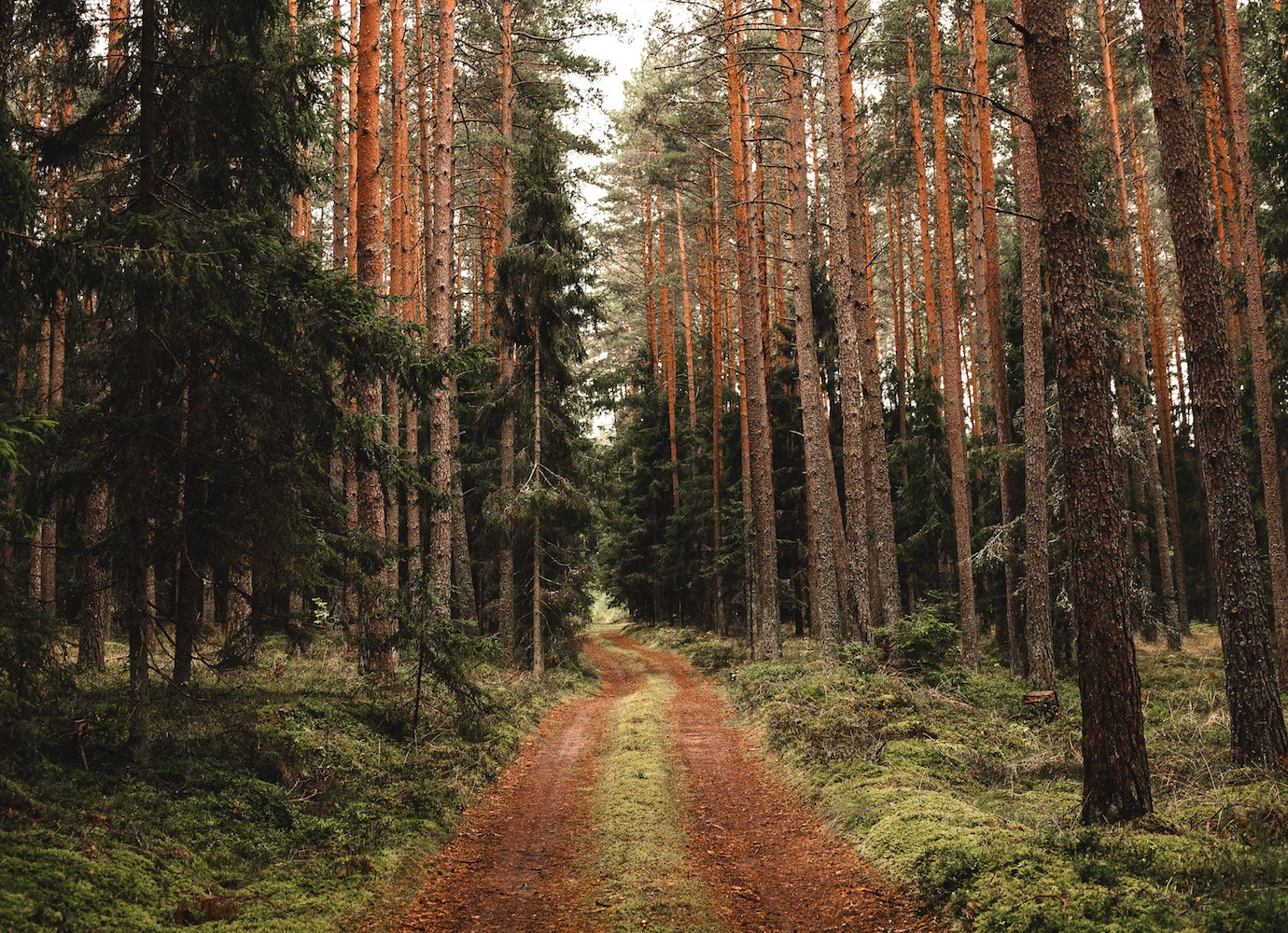 ‘Feelings can occupy the resistance:' 2 Latvian poems by Ligija Purinaša and Katrīna Rudzīte