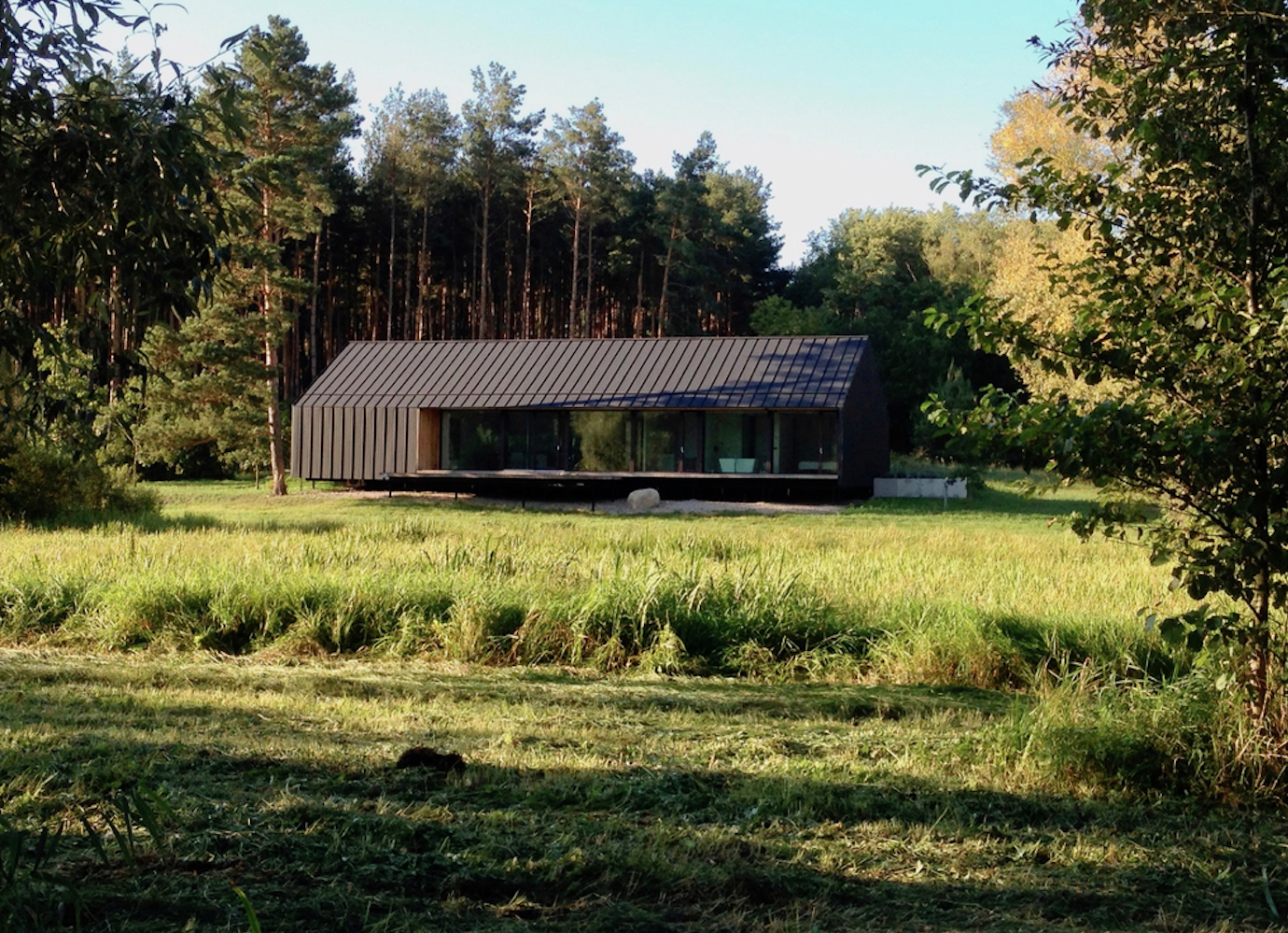 Built in a Polish nature reserve, this minimalist house blends into its natural home