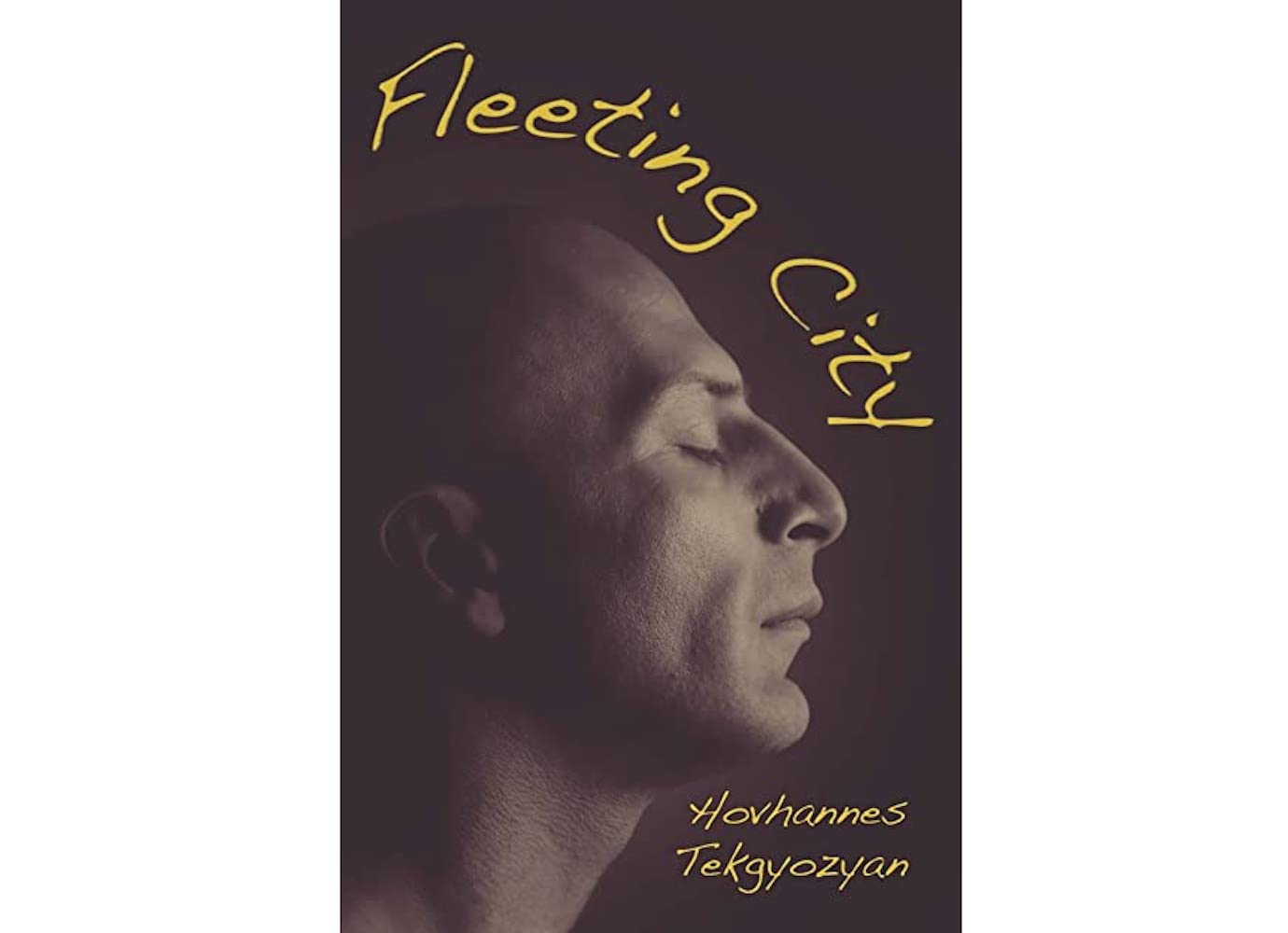 Surrealist novel The Fleeting City takes down Armenia’s social taboos | Calvert Reads