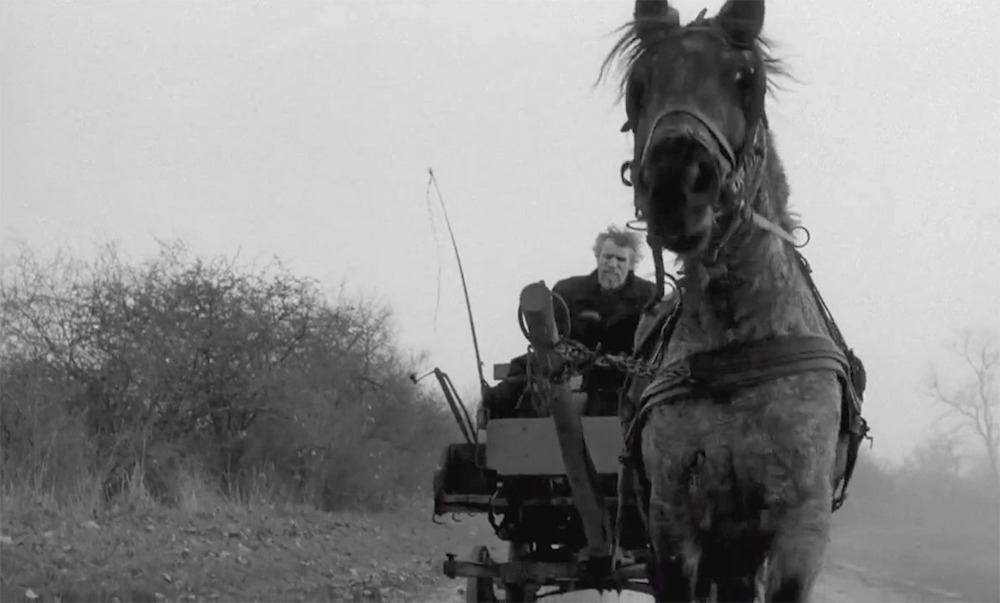Still from The Turin Horse (2011) (image courtesy of Béla Tarr)