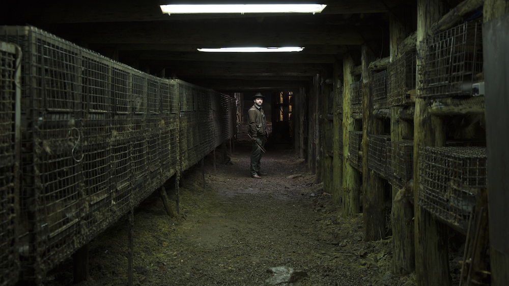 Still from Spoor (2017)