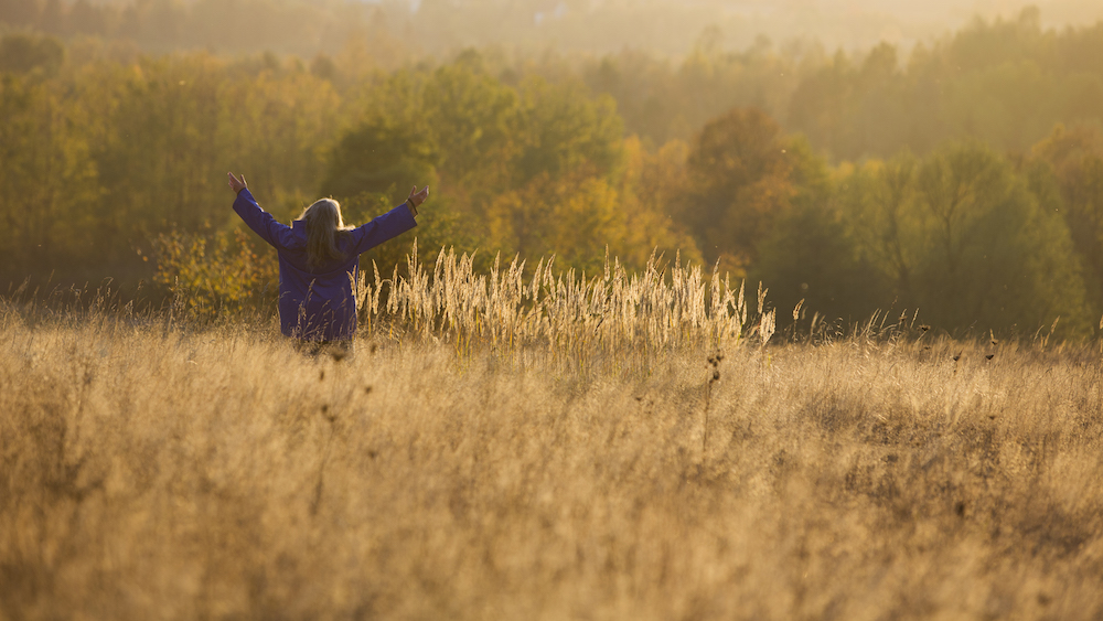 Still from Spoor (2017)