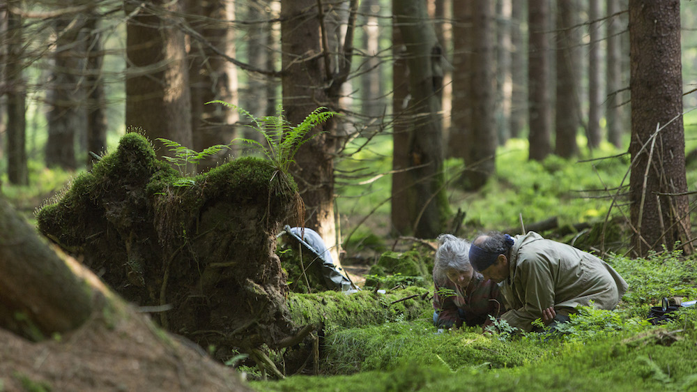 Still from <em>Spoor</em> (2017) (image: Robert Pałka)