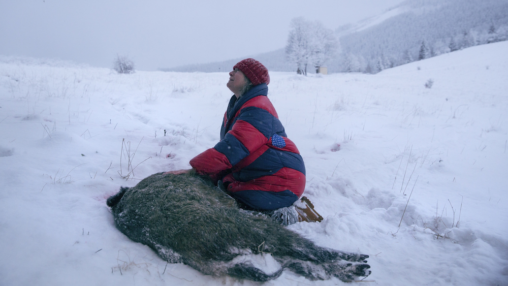 Still from <em>Spoor</em> (2017) (image: Robert Pałka)