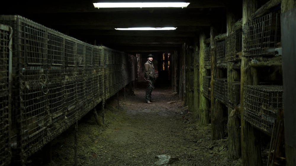 Still from <em>Spoor</em> (2017) (image: Robert Pałka)