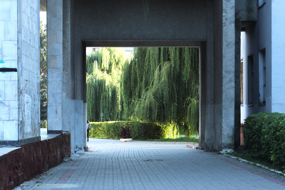 View on to the gardens of the National University of Veterinary Medicine and Biotechnologies