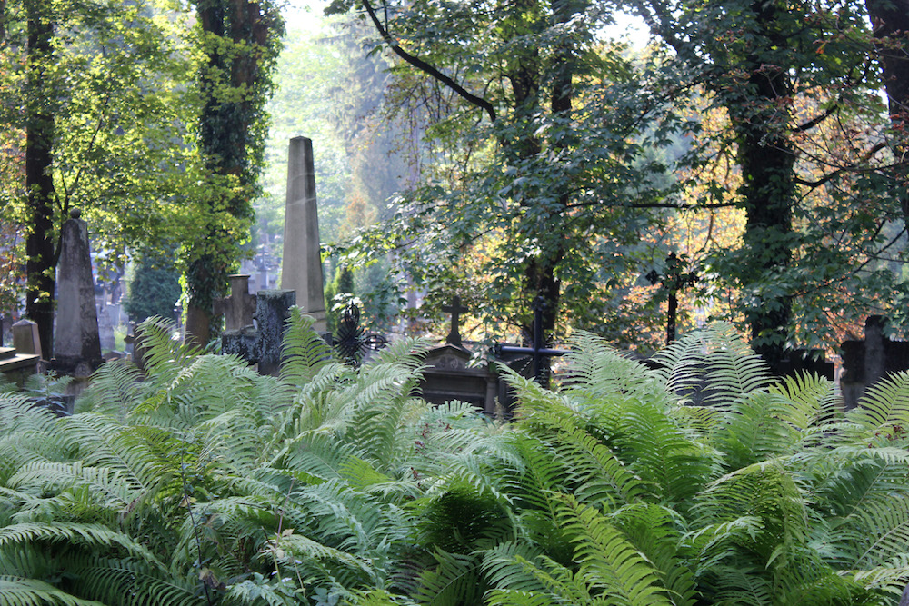 Lychakiv Cemetery