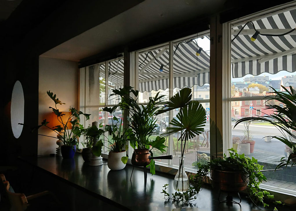 The green window display at at Klaus café. Image: Klaus Kohvik / Facebook