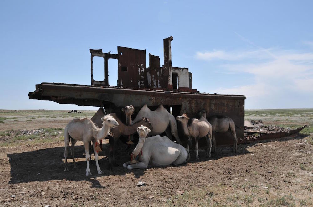 There is an ecological edge to the messaging around the festival. Image: Stihia Festival