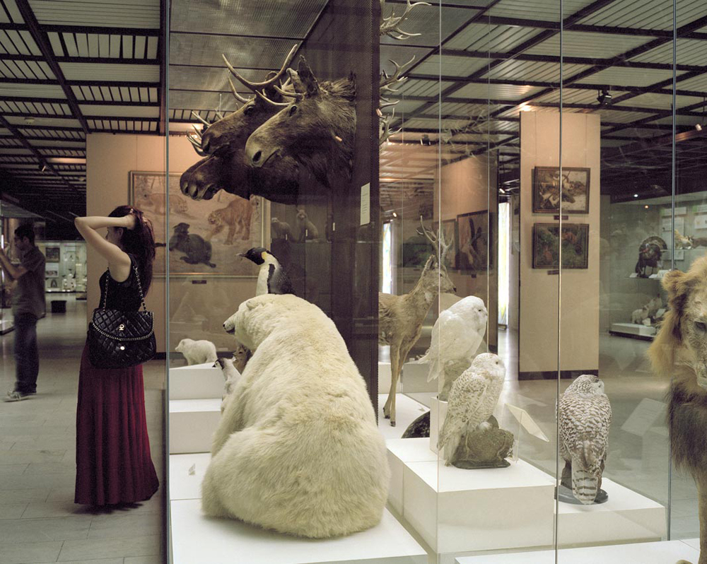 Onlookers. State Museum of Darwinism