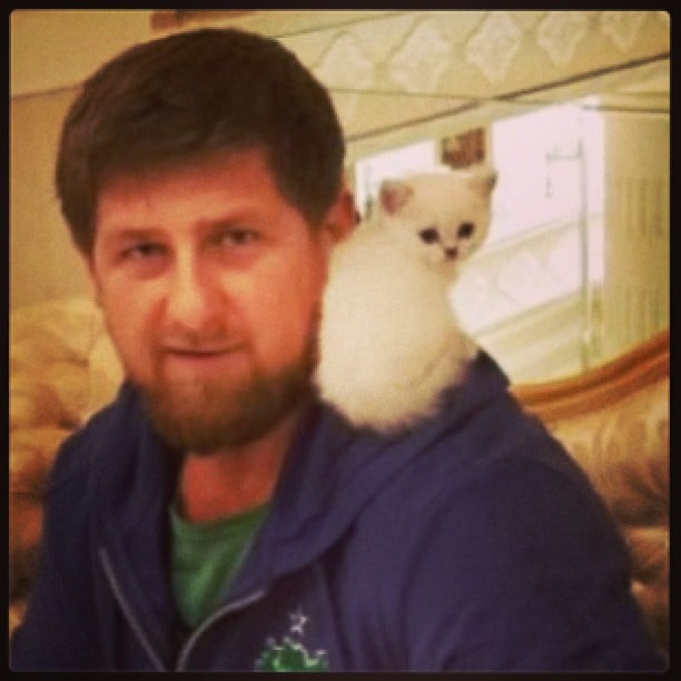 From left to right: Ramzan Kadyrov, a kitten 