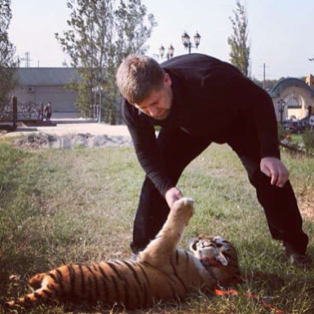 Kadyrov with a tiger