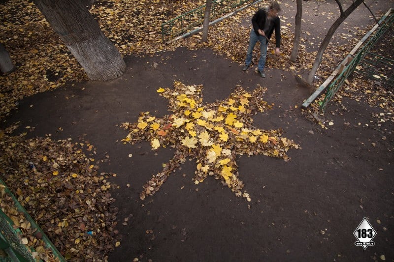 Improvised autumn installation