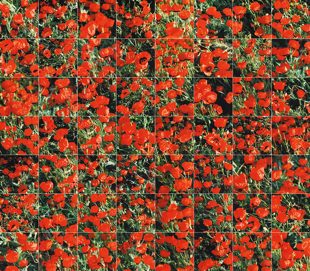 Said Atabekov, <em>Genghis Khan's Shroud</em>, 2010. Courtesy of Aspan Gallery