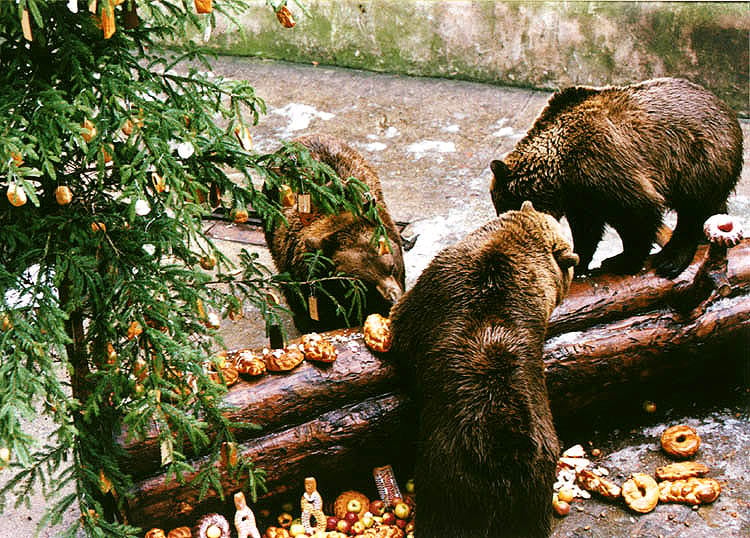 Bear Festival at Český Krumlov Castle