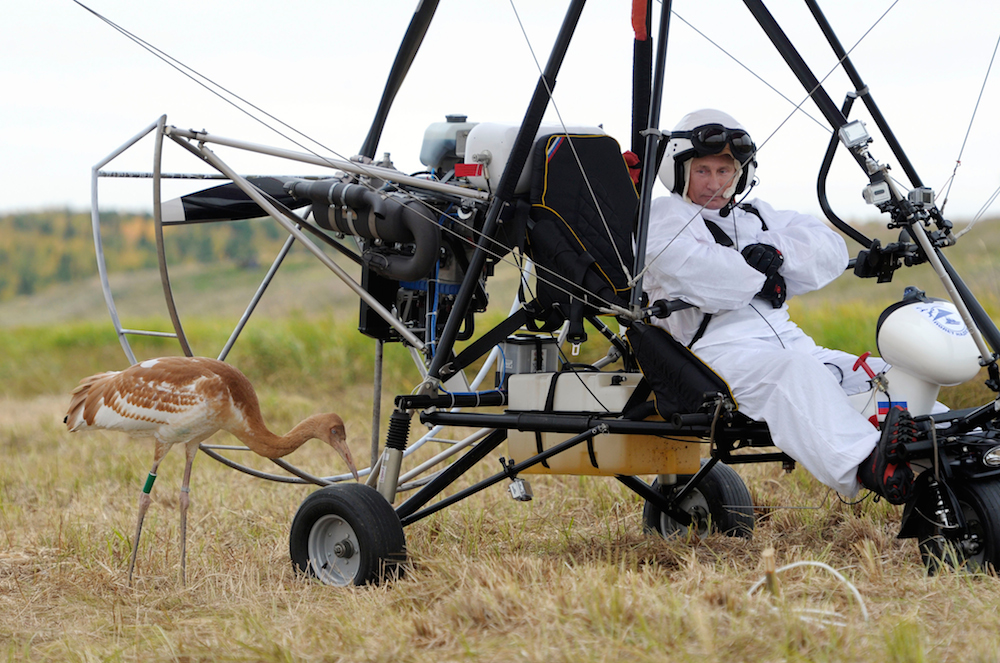 Russian President Vladimir Putin takes part in the “Flight of Hope” to preserve a rare species of crane on 5 September 2012 (Photo: RIA Novosti)