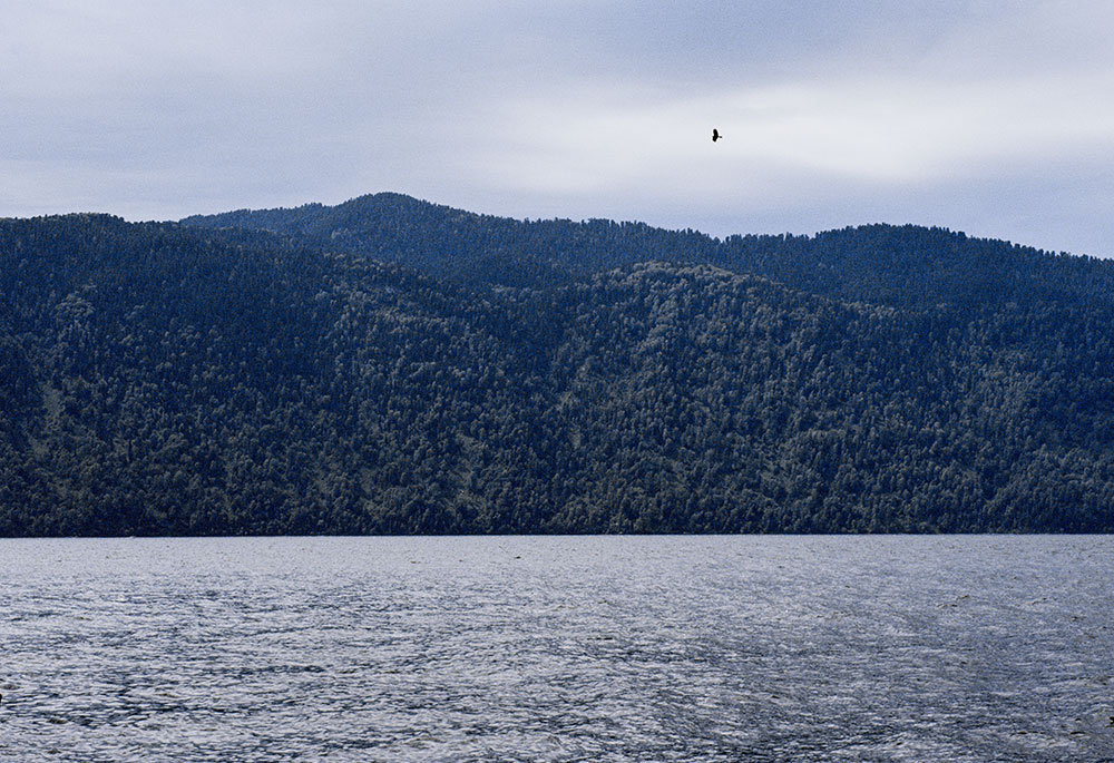 With its steep and stately banks, Lake Teletskoye is like a Scottish loch relocated to Asia