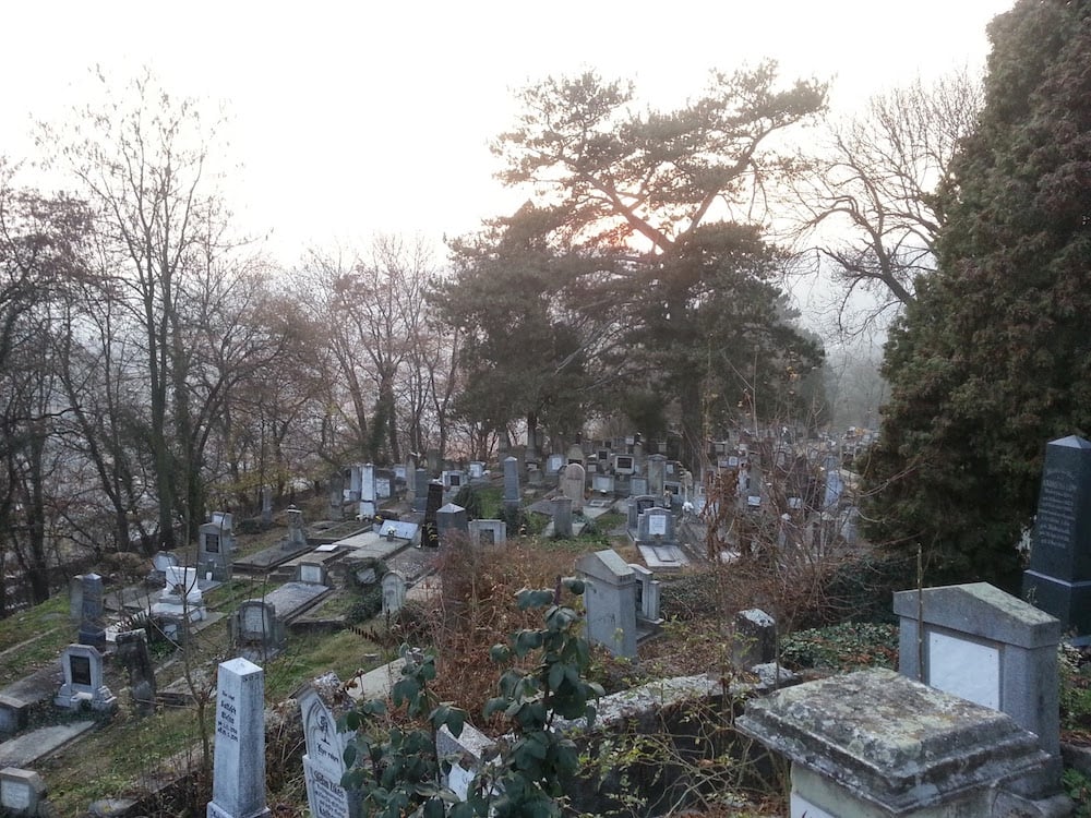 “I’m standing in a Transylvanian graveyard. So far, so good as Halloween locations go”