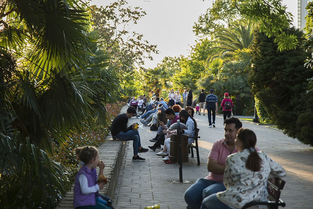 Sochi: discover the palm trees, surf, and grand sanatoria of this seductive seaside metropolis