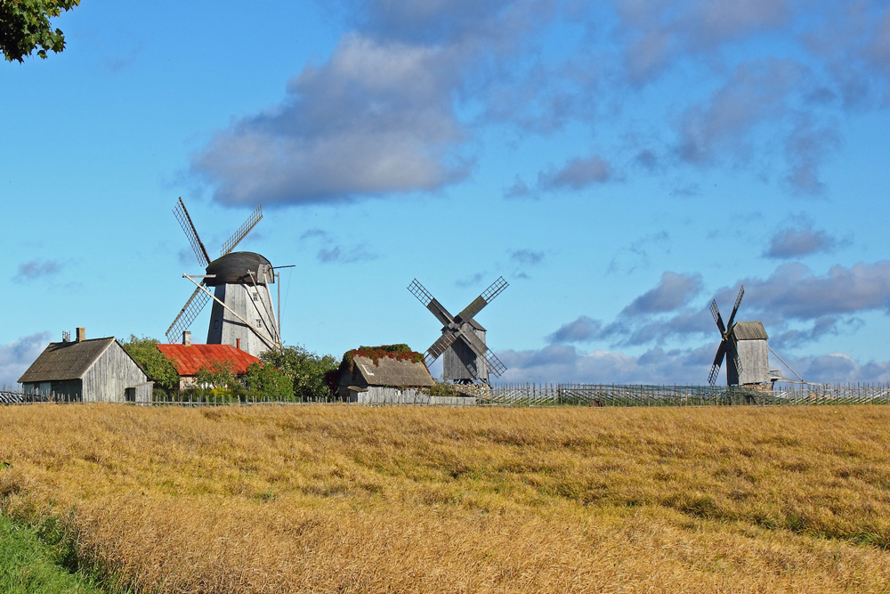 Traditional windmills on Saaremaa. Image: KalervoK/Wikimedia Commons under a CC licence