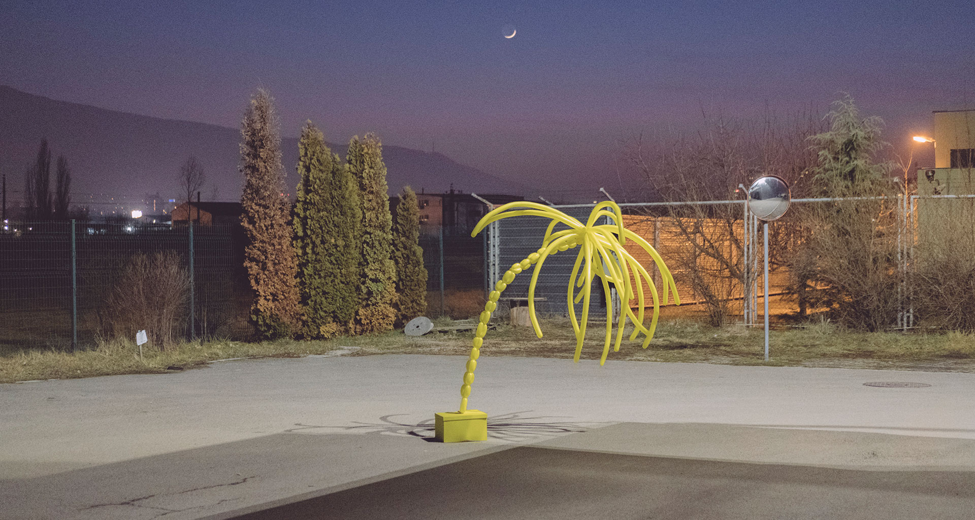 In a deserted Sofia carpark, a deflated palm tree becomes strangely relatable 