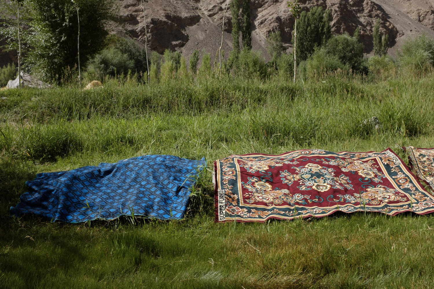 Carpets left to dry in the village of Roshorv
