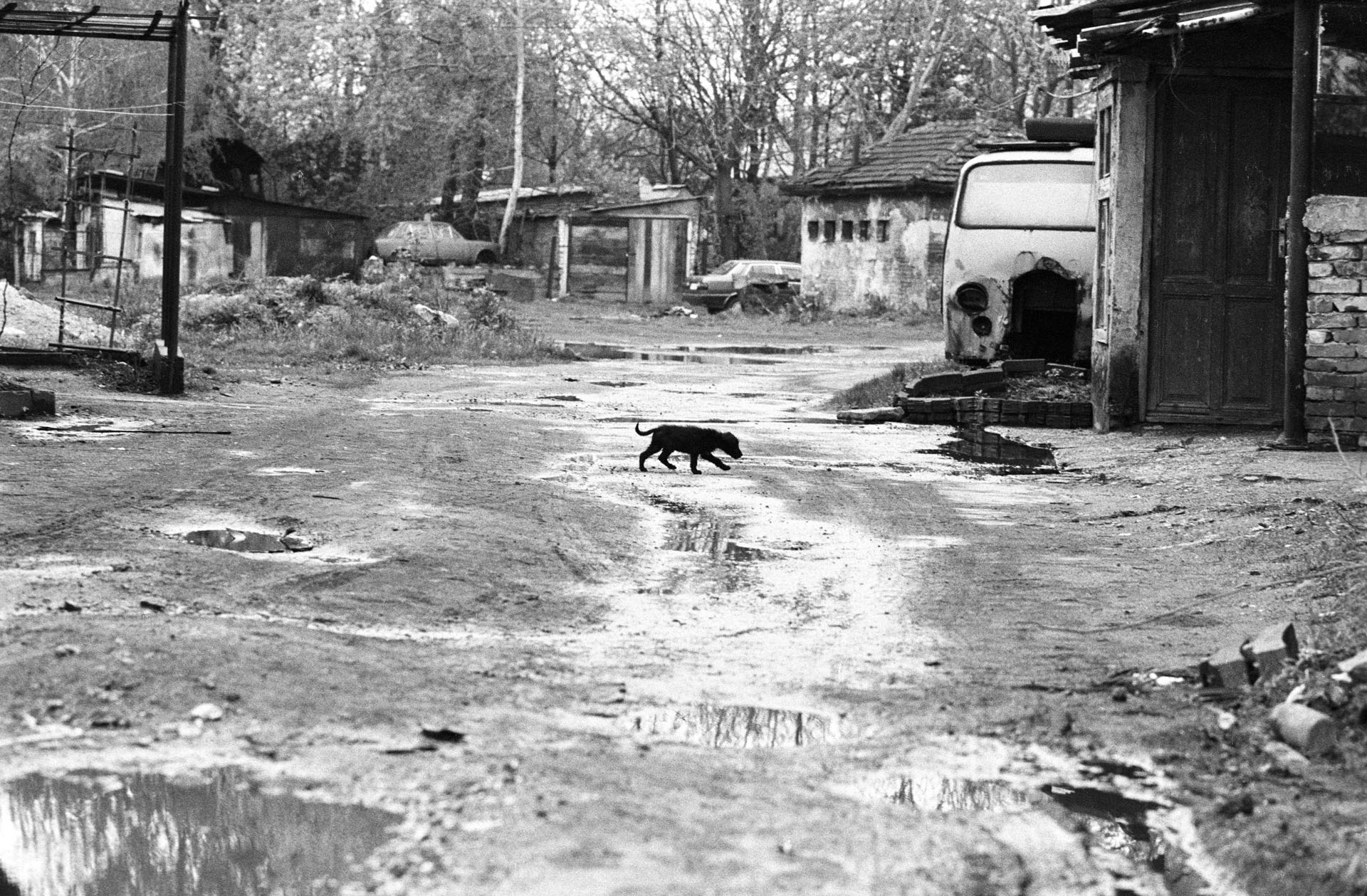  From Belgrade Belongs to Me (2009)