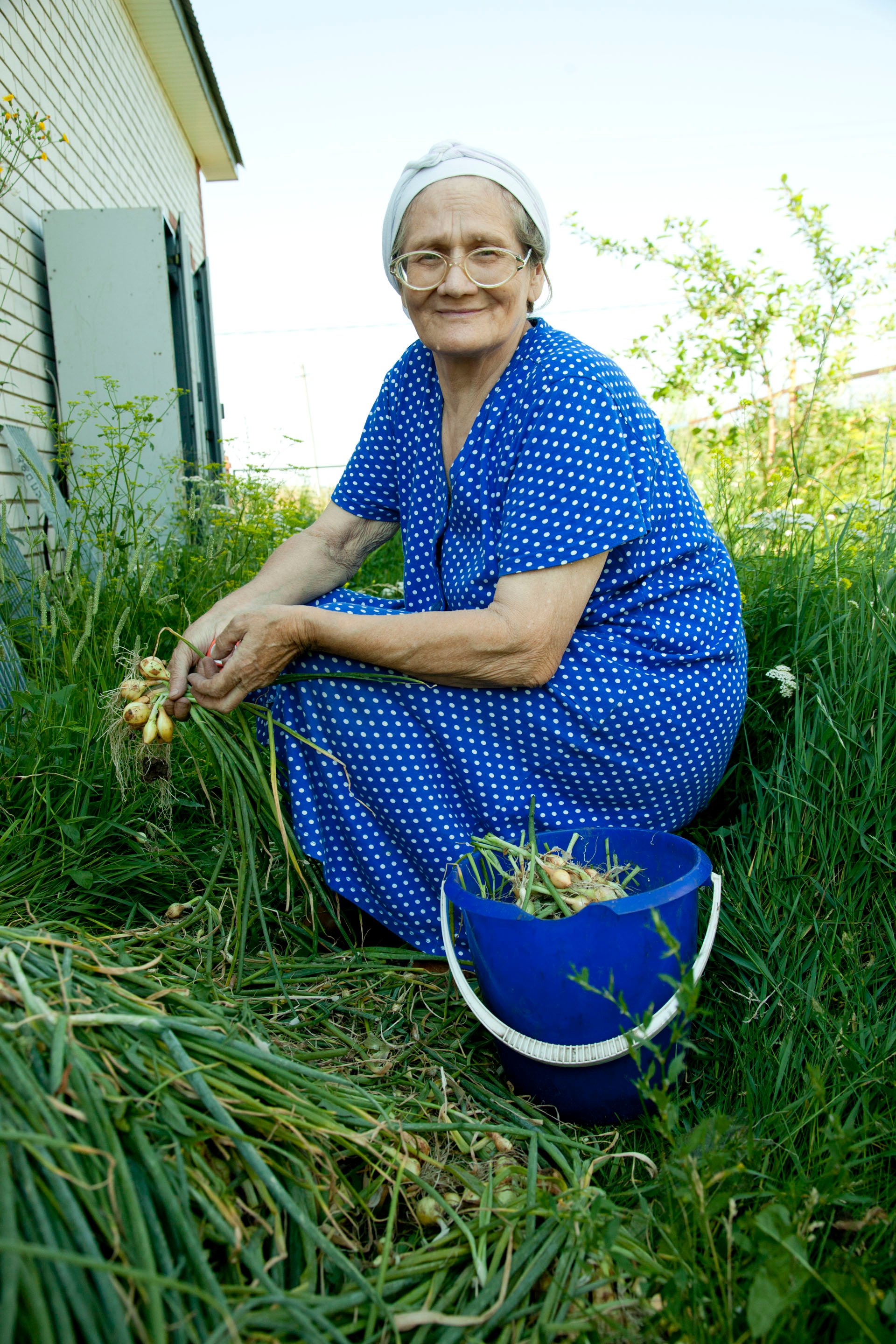 During the harvest season, the babushkas (grandmothers) of Kamskie-Polyani get together and go from home to home to help gather and preserve the large garden plots necessary for survival in this town without an economy