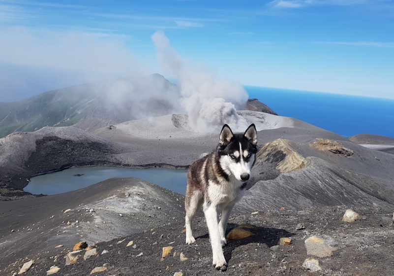 Into the wild: the Russian nature photography account you need to follow on Instagram