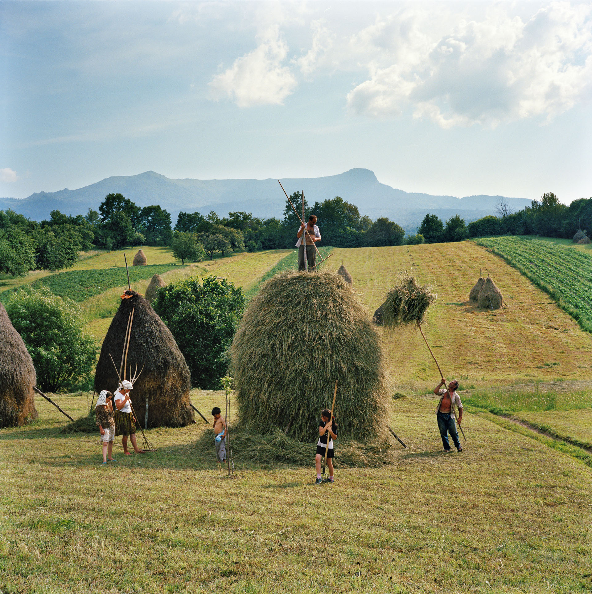 From Transylvania: Built on Grass