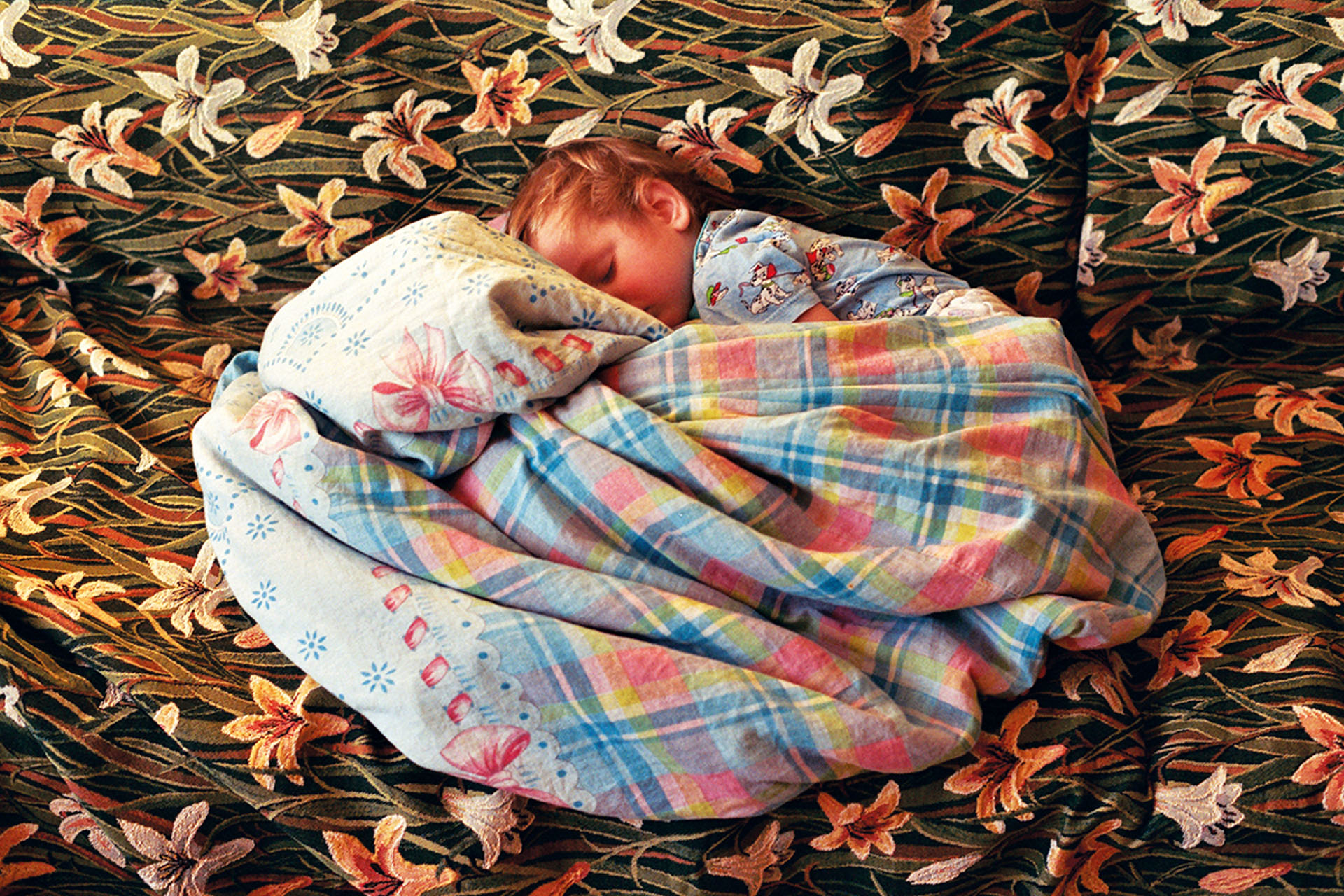 J Child Sleeping in Flowers (2010)